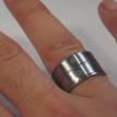 Bamboo in Steel #1